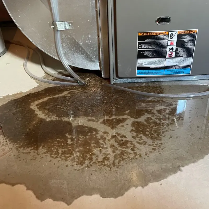 Pipe Burst and Leak Restoration in Vilonia, AR